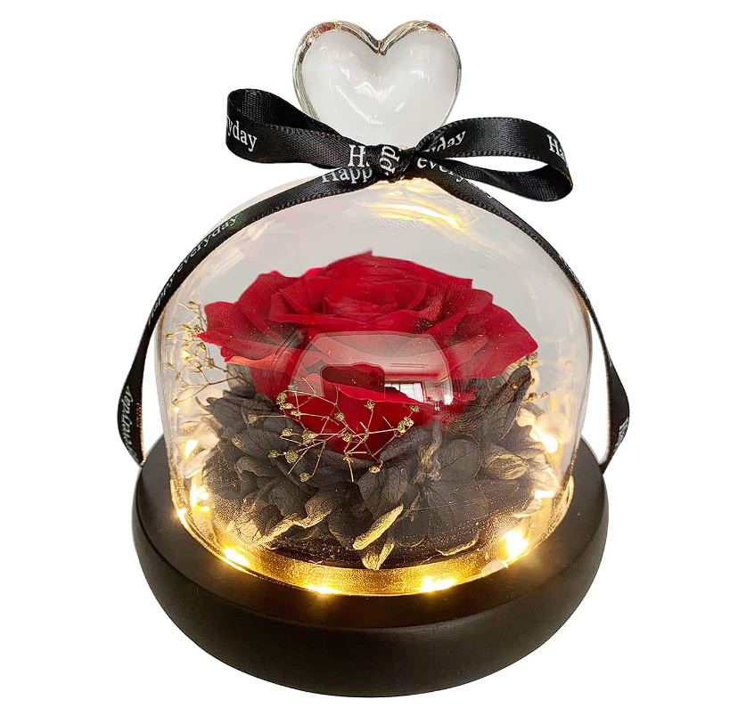 Eternal Rose Globe™