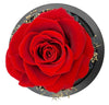 Eternal Rose Globe™